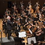 So viel Geld bringt das Lucerne Festival der Region