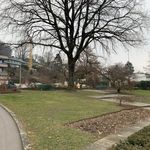 Leumatt: Hier entsteht Luzerns neuster Park