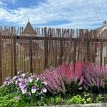 Wenns wuchert: Stadt Zug verschenkt Gartenberatungen