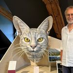 In Luzern wird die Katze zum Museum-Star