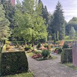 Unbekannte stehlen Grabstein von Luzerner Friedhof