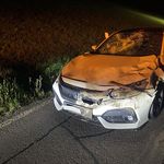 Hirsch prallt in Neuheim gegen Auto: Totalschaden