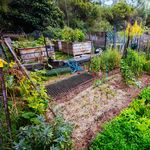 Dieser Luzerner Schrebergarten erhält eine Solaranlage