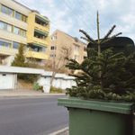 So entsorgst du deinen Weihnachtsbaum in Zug und Luzern