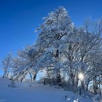 Schneezauber: Zehn winterliche Momente in Zug und Luzern