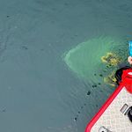 Gesunkenes Boot: Feuerwehr rückte auf dem Zugersee aus