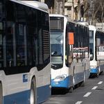Luzerner Fasnächtler füllen umgerechnet acht Busse Abfall