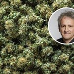 Hat Luzern den Start der Cannabis-Studie versifft?