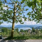 Luzern braucht mehr Angestellte für Pflege von Grünflächen