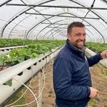 Bibbernde Bauern, boomende Badis, bombastische Bauten