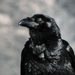 Blutüberströmt im Notfall: Bin ich eine Rabenmutter? 