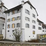 Museum in Sursee plant allfällige Neuausrichtung