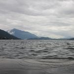 Tote in Zuger Seen: Die Tücke von Regen und Hitze