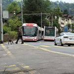 Zu eng und gefährlich: Diese Strasse wird zur Mega-Baustelle