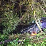 Auto kommt von Strasse ab und kollidiert mit Baum