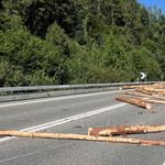 Lastwagen verliert Holzstämme – Strasse gesperrt