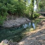 Hochwasser am Sempachersee: Kanton Luzern baggert Sure um