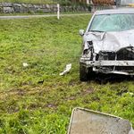 Auto fährt in Kuhherde – zwei Tiere tot