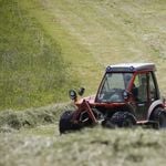 Luzerner Betriebe erhalten alleine im März eine halbe Million