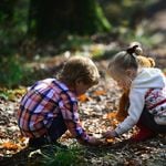 In Steinhausen sollen Kinder bald im Wald lernen