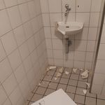 Vandalen demolieren WC-Häuschen in Kriens