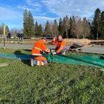 Rette Frösche, sammle Karma: Bist du neu Amphibienretter?