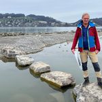 Vor Luzern ist eine neue Insel entstanden – so sieht sie aus