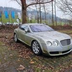 Moos statt Glanz: Verwahrloster Bentley gibt Rätsel auf