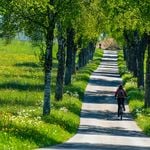 Zugs gewaltige Velonetz-Planung einfach erklärt