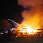 So viele Tiere verendeten beim Brand in Richenthal
