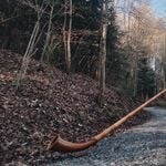 Dieser Mann lockt mit seinem Alphorn sogar den Luchs an