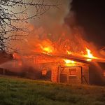 Scheune brennt – dutzende Tiere sterben in Flammen