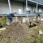 Hier in Emmen entstehen Hotels für Igel, Fledermaus und Co.