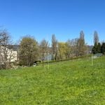 Luzerner Immobilien-Mogul kriegt neue Nachbarn