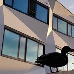 Die Geschichte von Fridolin und Erika an der Uni Luzern