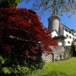 Dieses Schloss wirft seine alte Ölheizung raus