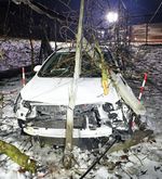 Mit 1,3 Promille in eine Kirschbaumplantage gerauscht