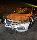 Hirsch prallt in Neuheim gegen Auto: Totalschaden