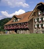 Hilfsangebot öffnet Bauern neue Türen