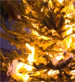 Leichen waschen im Advent