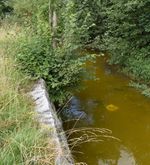 Problem-Chemikalie «PFAS» ist  auch in Luzerner Gewässern