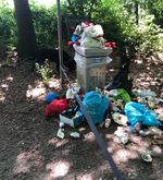 Abfall illegal entsorgt – Kriens montiert am Sonnenberg Abfalleimer ab