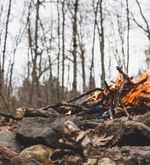Kanton Luzern erlässt Feuerverbot im Wald und Waldesnähe