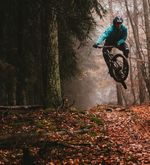 Luzerner Wald: Das Mountainbike ist der Zankapfel