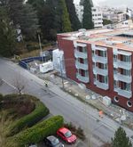 Luzern: Im Wesemlin wird bald eine neue Eiche gepflanzt