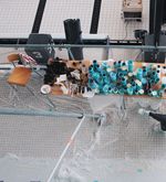Yannick Portmann bringt frische Farbe ins Neubad Luzern