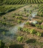 So bereiten sich Luzerner Bauern auf Trockenheit vor