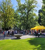 Stadt Luzern: Flohmarkt ist erneut im Vögeligärtli