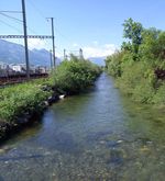Das brachte das Luzerner Hochwasser von 2005 der Natur
