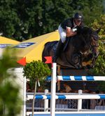 Pferdesportverband sperrt Paul Estermann für sieben Jahre